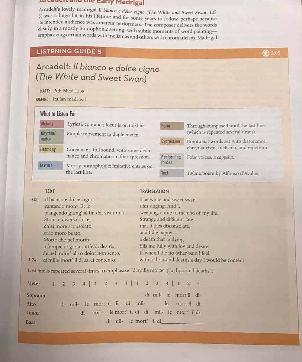 Essay of renaissance period image