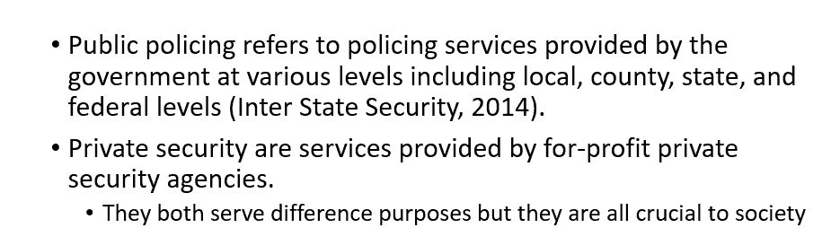 Public Policing Versus Private Security Comparison