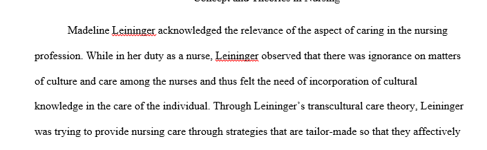Why Is The Theory Of Culture Care Diversity Important In The Delivery 