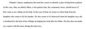 What questions does orlando’s theory guide the nurse to consider in caring for susan and sam picture