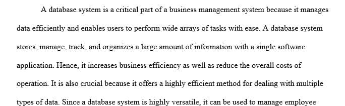 Why database system is a critical component of business information systems 