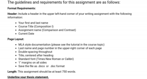 Does Technology Promote Loneliness or Is Citizen Privacy or National Security More Important.