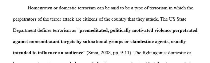 Essay on professional codes of ethics that might be applied to Homegrown Terrorism