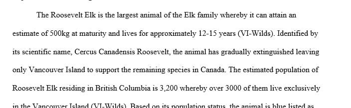 Importance of Protecting Roosevelt Elk on Vancouver Island 