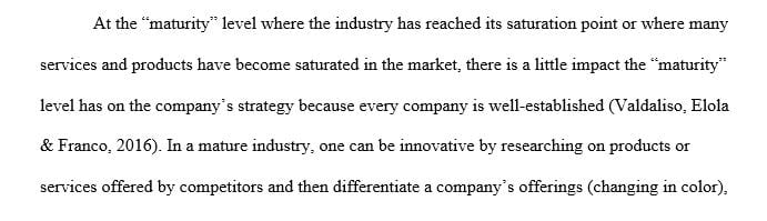 How much of an impact does the maturity level of the industry or company have on strategy