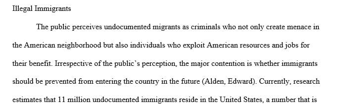  Write an essay on illegal immigration in the United States