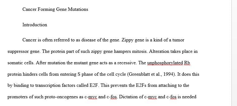 At which point along the gene expression pipeline is the zippy gene dysregulated
