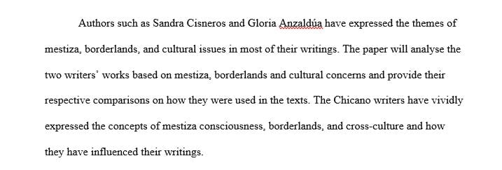 Compare and Contrast the mestiza, borderlands and cultural issues found in two writers' work.