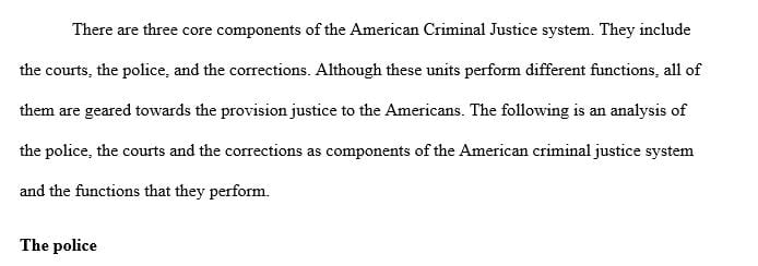 Describes the three core components of the American criminal justice system 