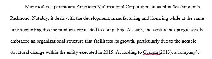 What organizational structure does Microsoft have