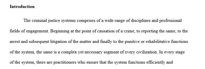 Write a 1-2 page essay that identifies the key social issues contributing to the need for Criminal Justice practitioners