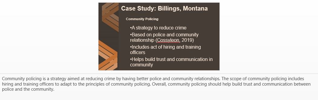 Sara model pdf image