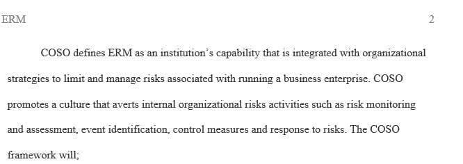 Develop a plan for an effective Enterprise Risk Management (ERM) program