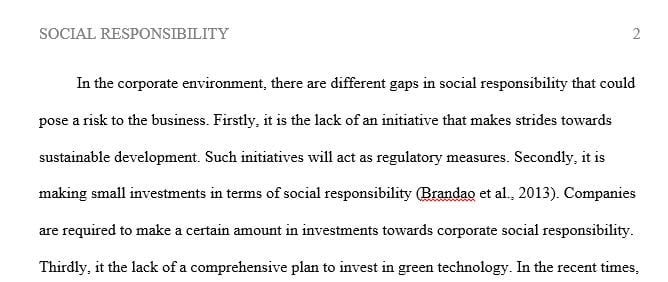 Discuss the 4 gaps in social responsibility in the social domain