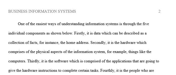 business information systems essay