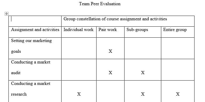 Evaluate the contributions each of your team members have made to the marketing plan