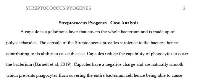 How does the capsule of Streptococcus contribute to the bacterium’s ability to cause disease