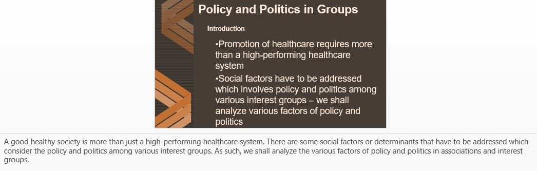 Policy and politics in associations and interest groups.