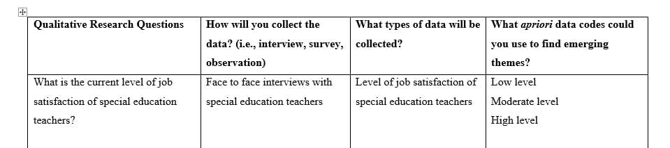 Identify data analysis strategies to support research questions