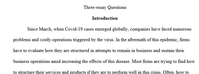 What organizational structure in your opinion would be the best suited to handle this crisis