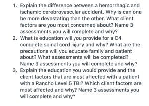 Cerebrovascular accident essay 08 image