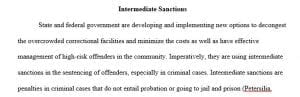 Examples of intermediate sanctions picture