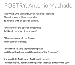 Write an essay [on any of the recent poems] in which you discuss some element[s] of the poem