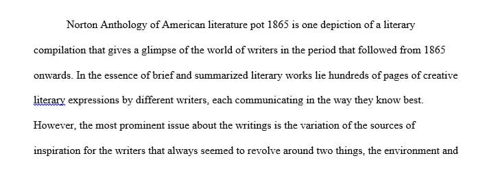 essay about american literature