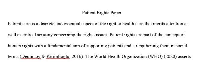 Prepare a 3 full page paper that summarizes the critical issues related to the protection of patient rights.