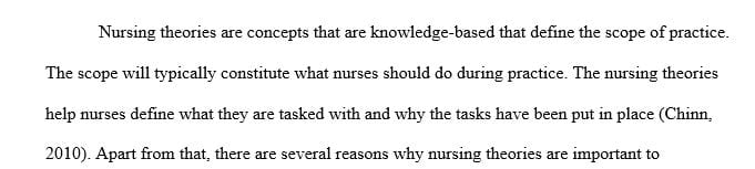 How is nursing theory important to the nursing profession