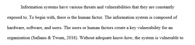 What areas of vulnerability exist within an information system