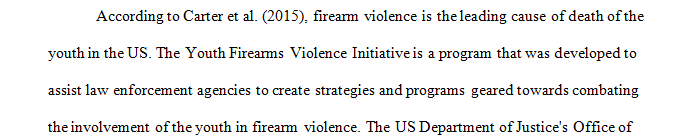 Explain the Youth Firearms Violence Initiative.