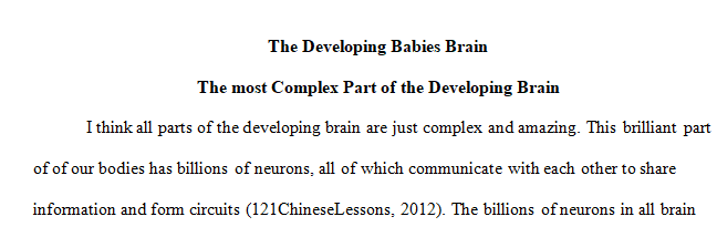 What do you think is the most complex part of the developing brain