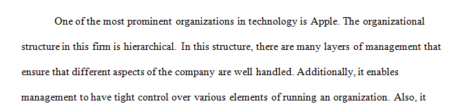 What kind of organizational structure does the organization use