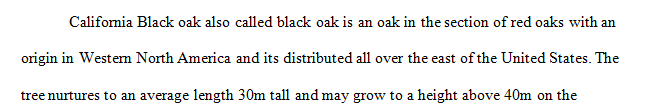 Choose a native Californian plant species from your group's ecosystem which is (BLACK OAK)
