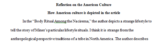 Write reflection about American culture.