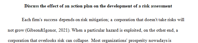 Describe a plan of action and its impact on creating a risk management plan.