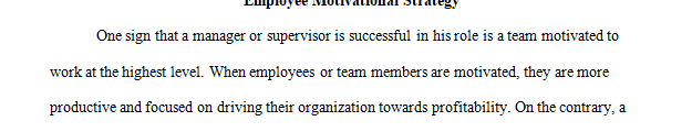 Motivation of Employees: paper addressing your strategy to motivate employees under your direct supervision.