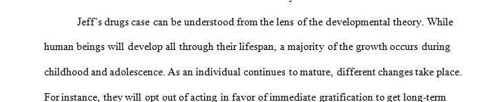 Apply developmental theory to the specific aspects of your case study.