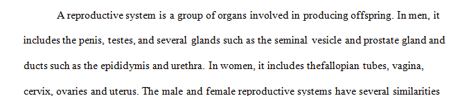 Describe at least 3 similarities between the male and female reproductive systems.
