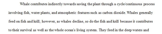 The whales are saving the planet by eating fish and krill.