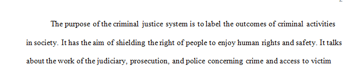 What are the purposes of our criminal justice system