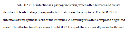 Explain whether there is a greater risk for E. coli O157 H7 infection when consuming a hamburger compared to consuming a steak.