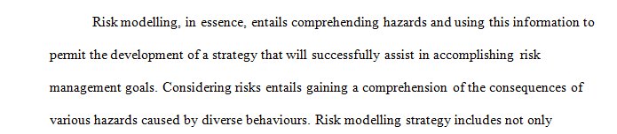 Write a paper discussing the concept of risk modeling
