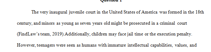 Explain the history of the juvenile justice system.