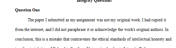 Speaking candidly, what mistake(s) were made in the submission that warranted this Academic Integrity Violation