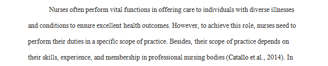 Describe the roles of MSN-Leadership in Health Care Systems