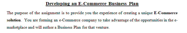 Developing an E-Commerce Business Plan