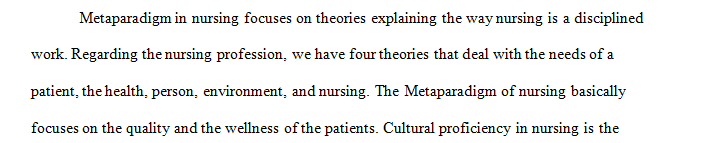How does the nursing metaparadigm impact the implementation of culturally proficient nursing care