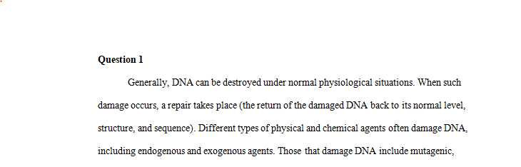 What are the two main classes of agents that can damage DNA